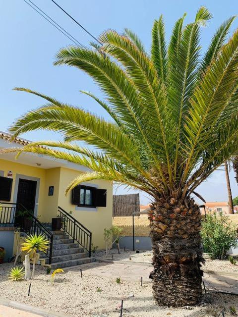 Vivienda Vacacional Tinizara Arona  Bagian luar foto